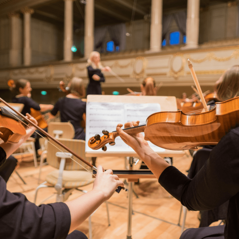 Longwood Symphony Orchestra Benefit Concert