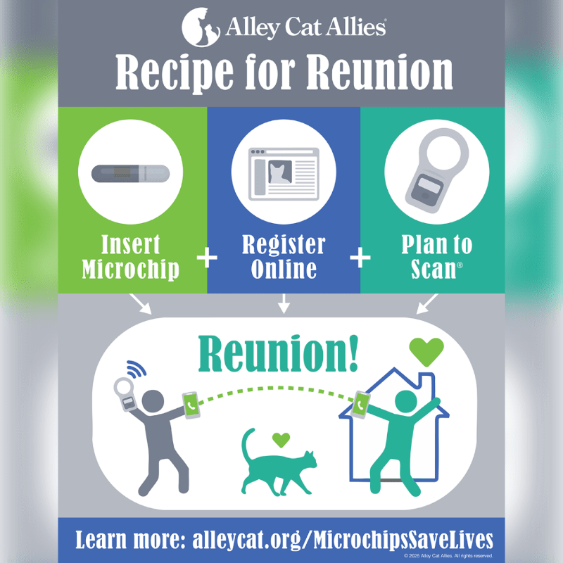 Microchip Clinic
