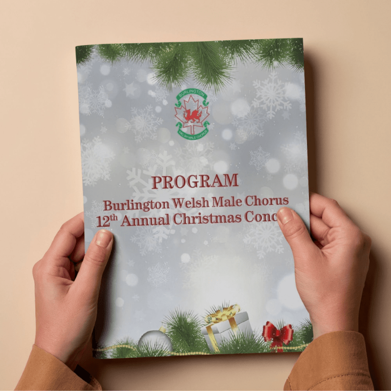 Program Sponsor