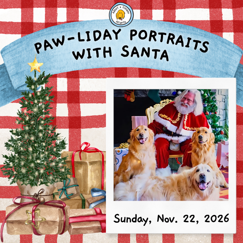 Paw-liday Portraits with Santa