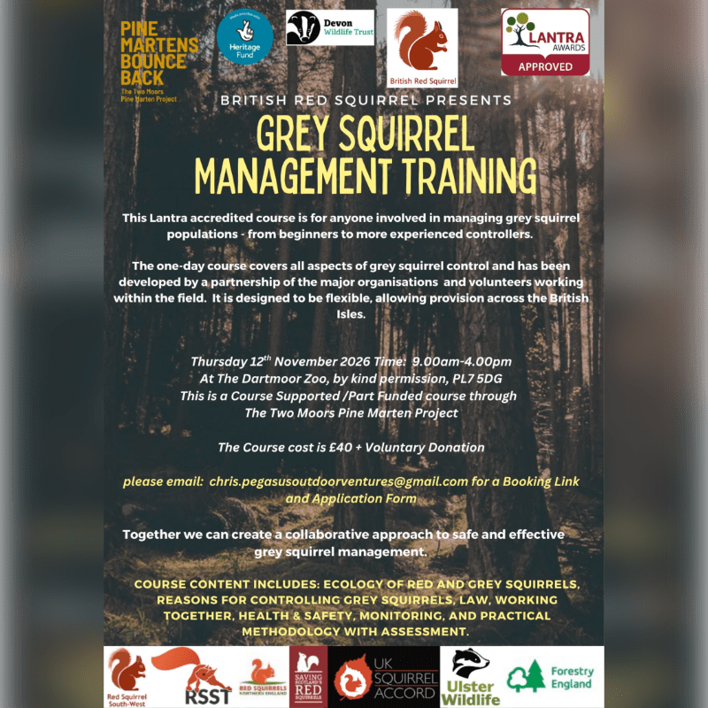 Grey Squirrel Management Training - Dartmoor Zoo