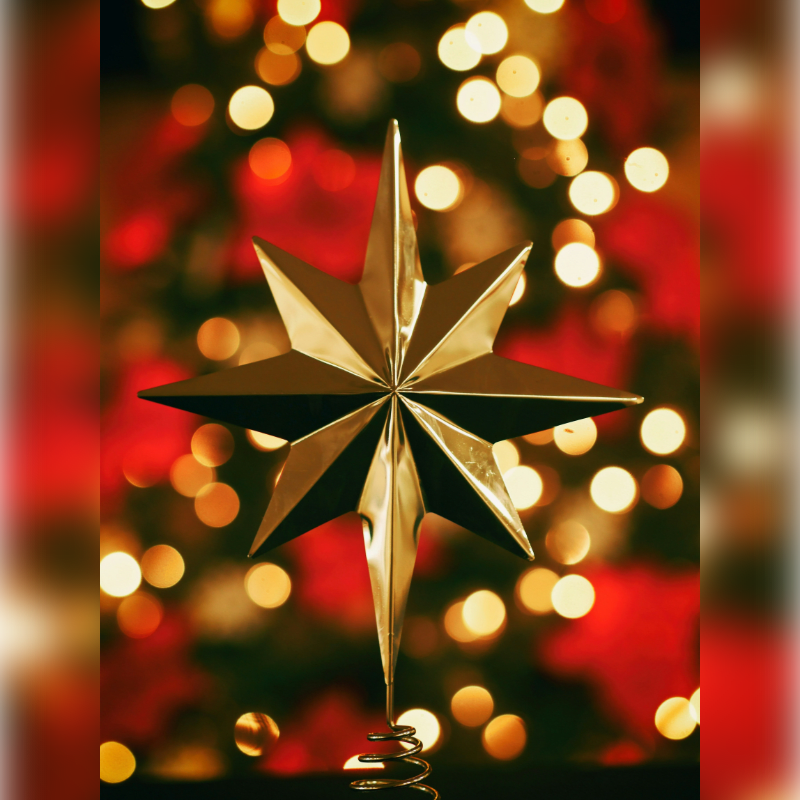 Sponsorships for the 2026 Holiday Home Tour: Vintage Old Louisville Elegance