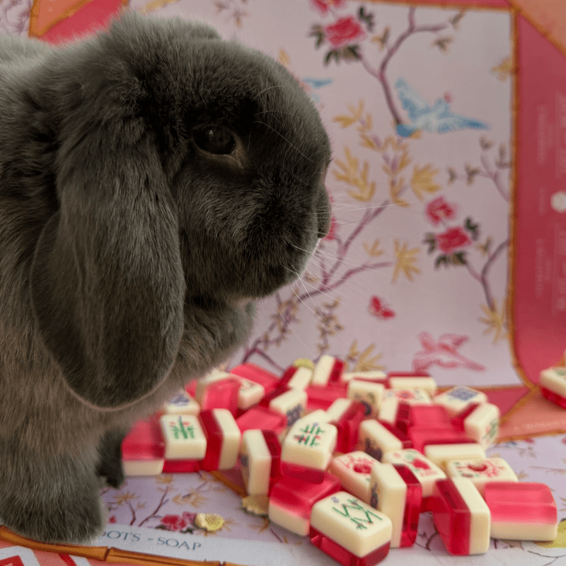 Bunnies, Bubbles & Bams - Mahjong Fundraiser for Rabbit Angels Rescue