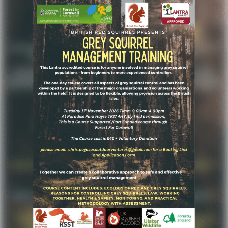 Grey Squirrel Management Training - Paradise Park
