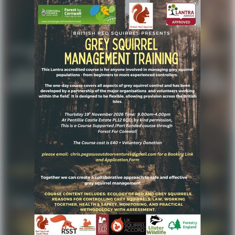 Grey Squirrel Management Training - Pentillie