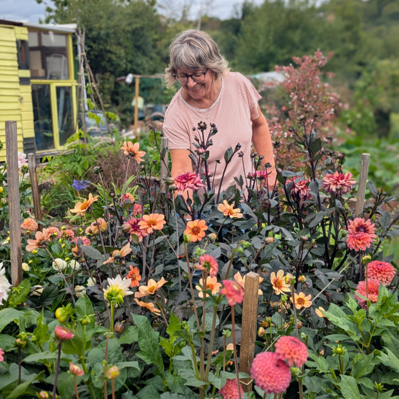 Donate to keep our Gardening to Feel Good groups going