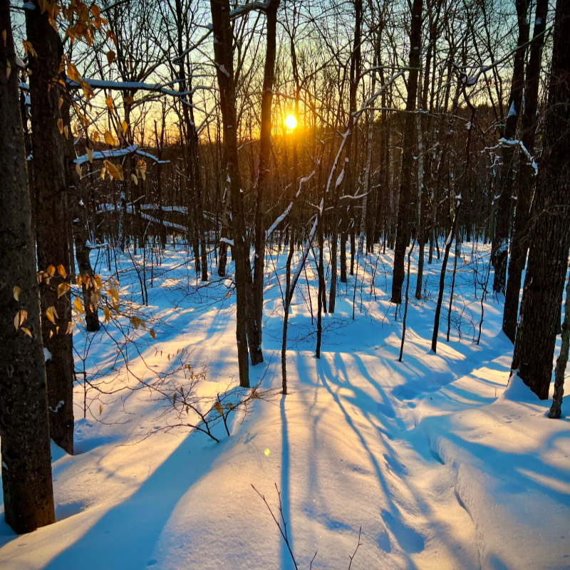 Spring Equinox · Viṣuva