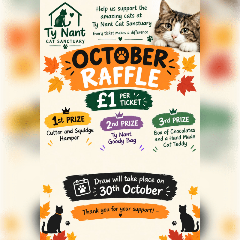 October Raffle