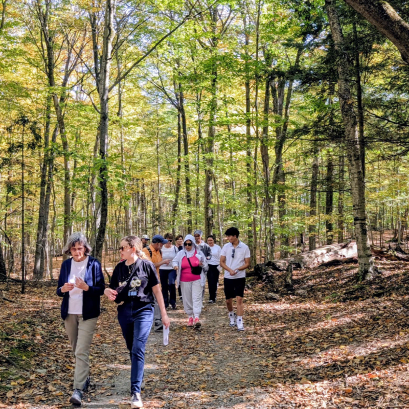 2026/10/14 Balade et conversation interculturelle à la promenade de la rivière Magog