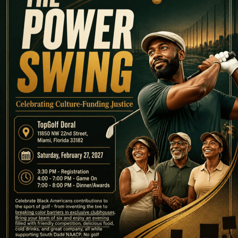 THE POWER SWING: Celebrating Culture - Funding Justice!