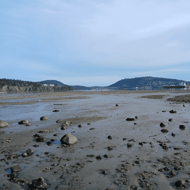 Habitat and Site Stewardship - November 7 