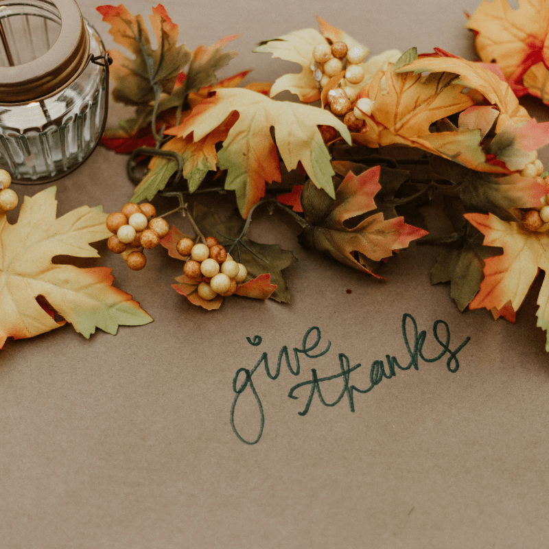 "Thank you" Thanksgiving Dinner/Pilot Club Meeting
