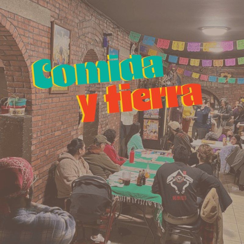 Comida y Tierra: Estamos Buscando Guardianes de Semillas
