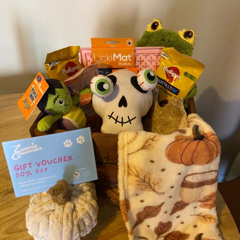 Photo of Halloween Dog Hamper