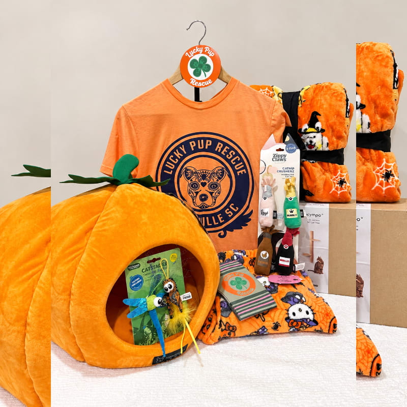 Photo of Gift basket 2