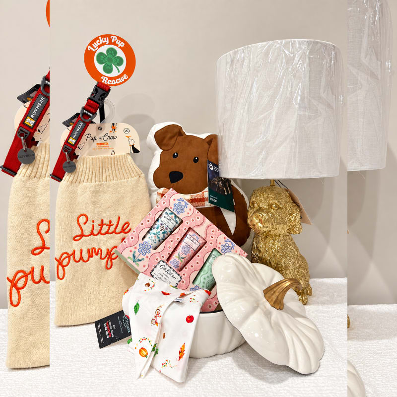 Photo of Gift basket 3