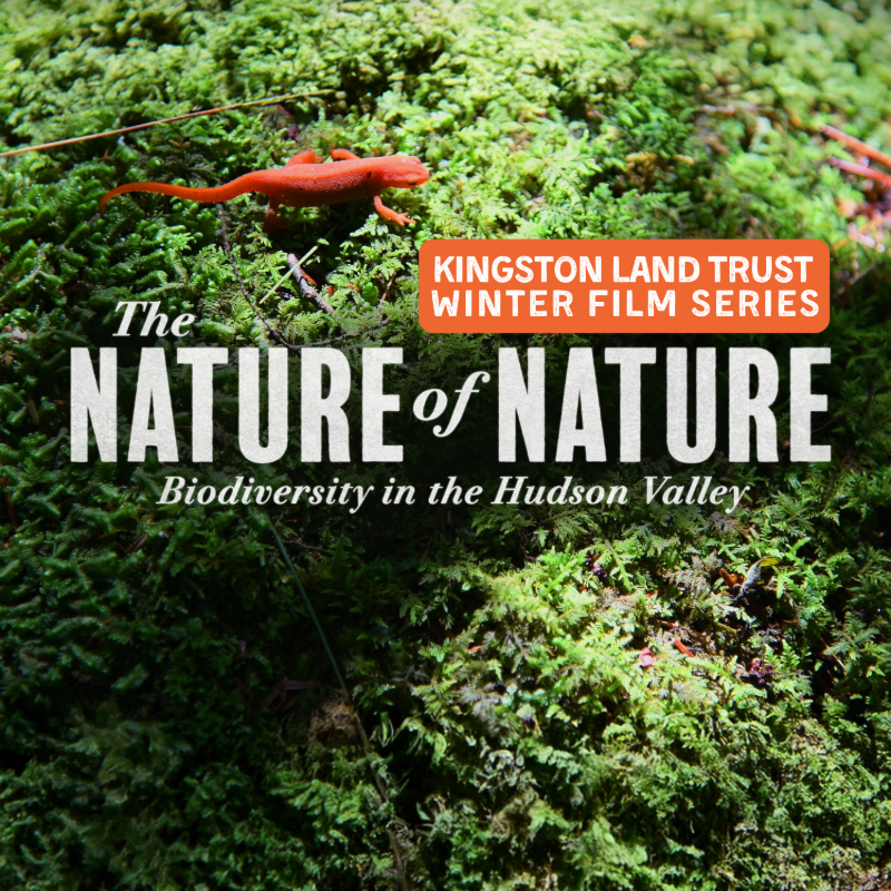 Kingston Land Trust Winter Film Series - BIODIVERSITY: The Nature of Nature