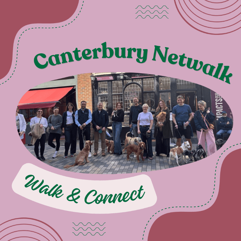 Business networking dog walk November