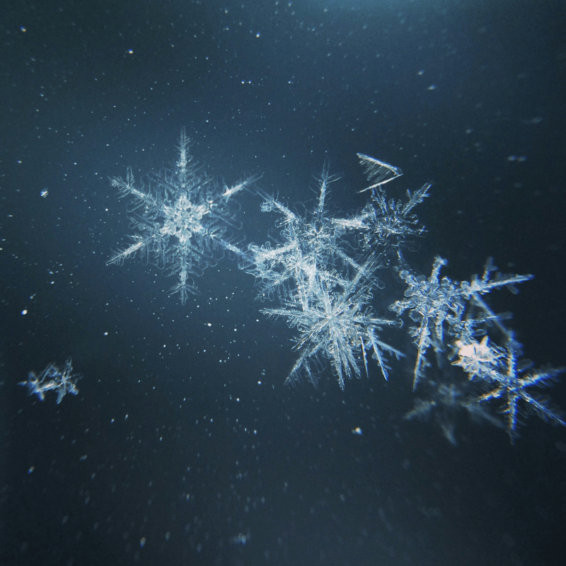 Winter Wonderland Masquerade