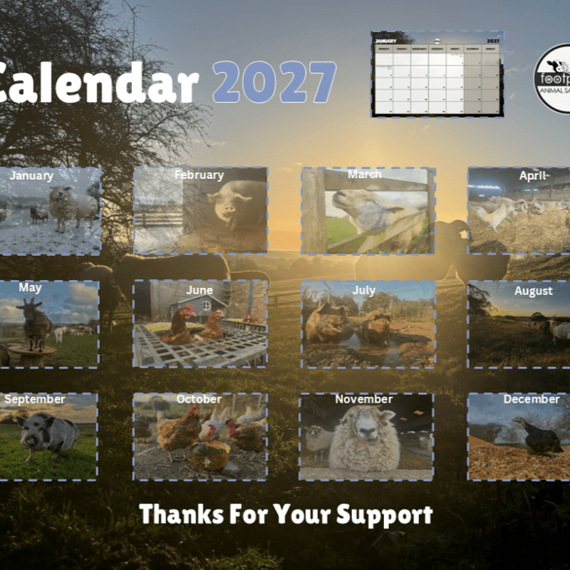 Footprints Online Shop - Calendar Pre Orders
