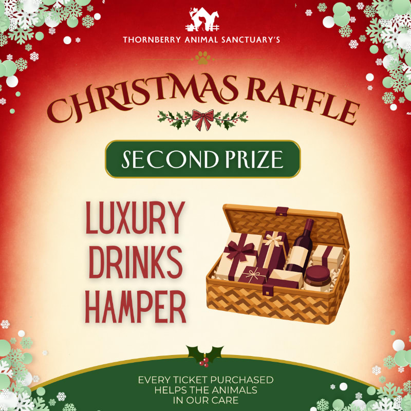 Photo of Second Prize - Luxury Drinks Hamper