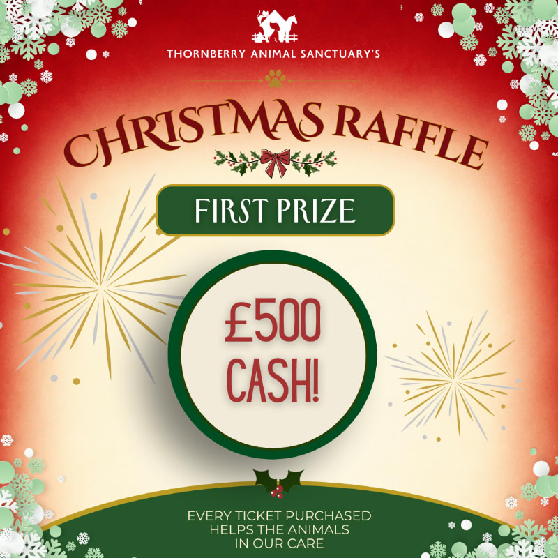 Photo of First Prize - £500 cash!