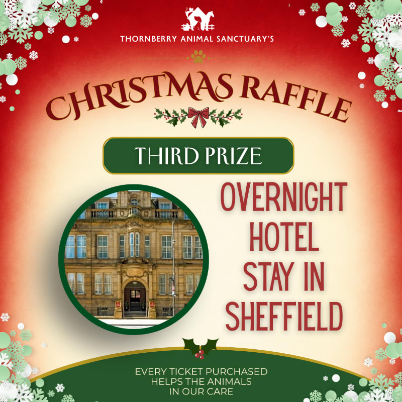 Photo of Third Prize - Overnight Hotel Stay