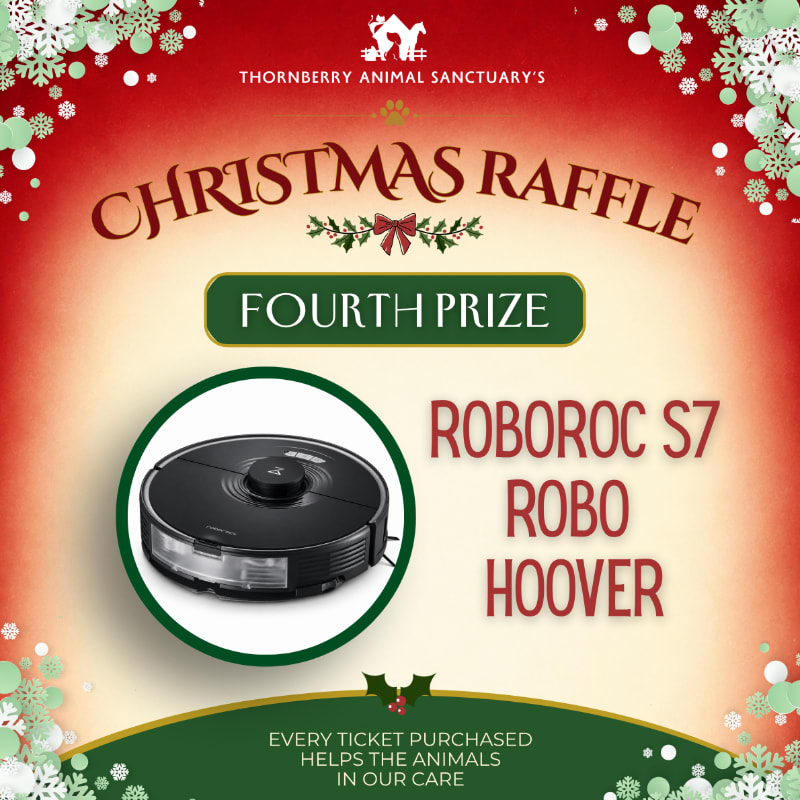 Photo of Fourth Prize - Roborock S7 Robo Hoover