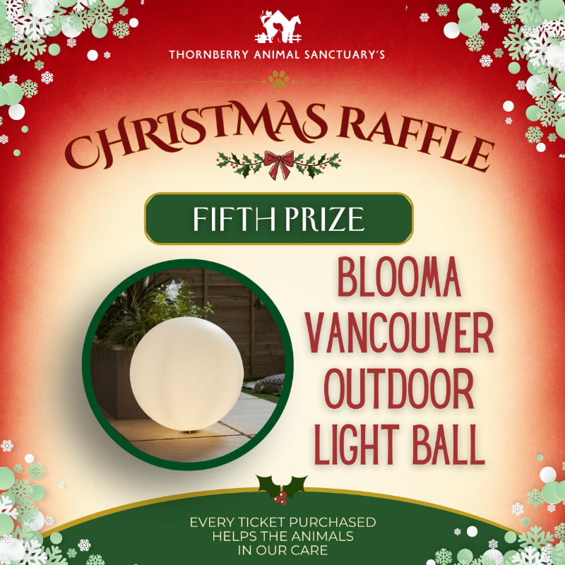 Photo of Fifth Prize - Blooma Vancouver Outdoor Light Ball