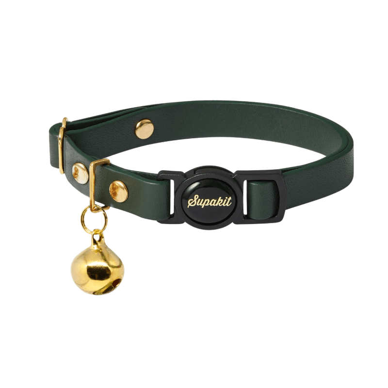 Photo of SupaKit Collar and Harness