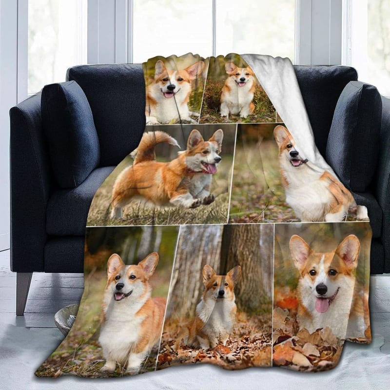 Photo of Custom BCR Kitty Blanket!