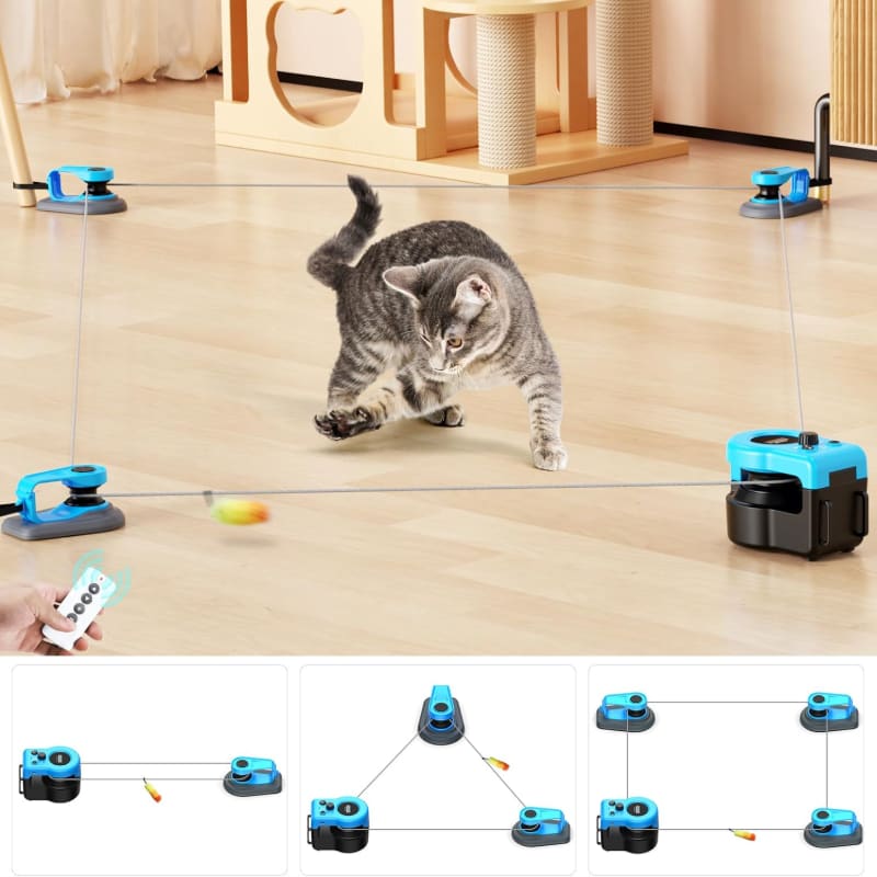 Photo of Interactive toy for cats: Chase/RUN/Hunt