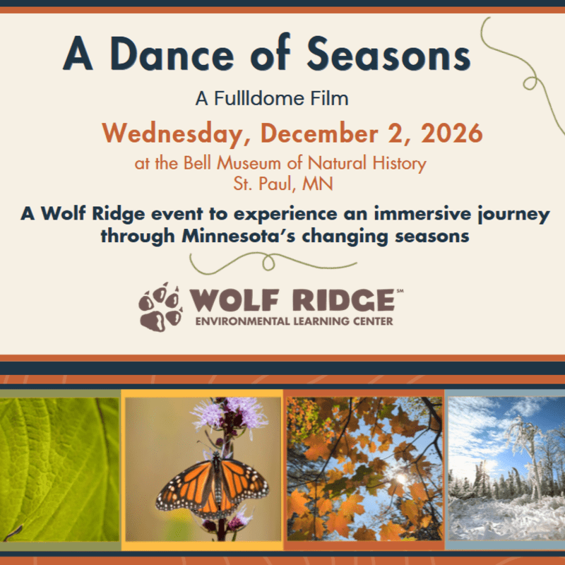 A Dance of Seasons: A Wolf Ridge Film Screening at the Bell Museum