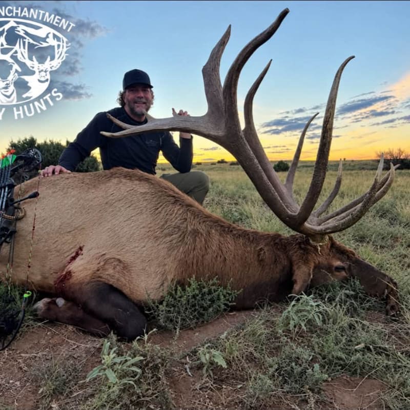 Photo of NM Trophy Elk Hunt on Private Land