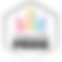 Charlotte Pride logo-knockout 400x400 logo