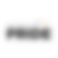 Anchorage Pride logo-knockout 400x400 logo