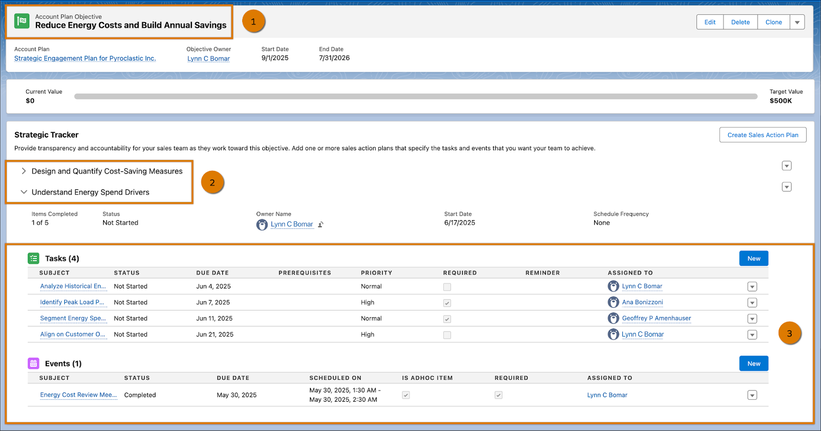 The account objective page showing the strategic tracker.