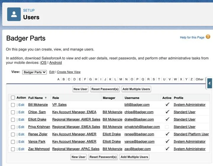 The Users page in Setup showing records for Sam Chloe, Drake Elliott, and Zac Mehmood.