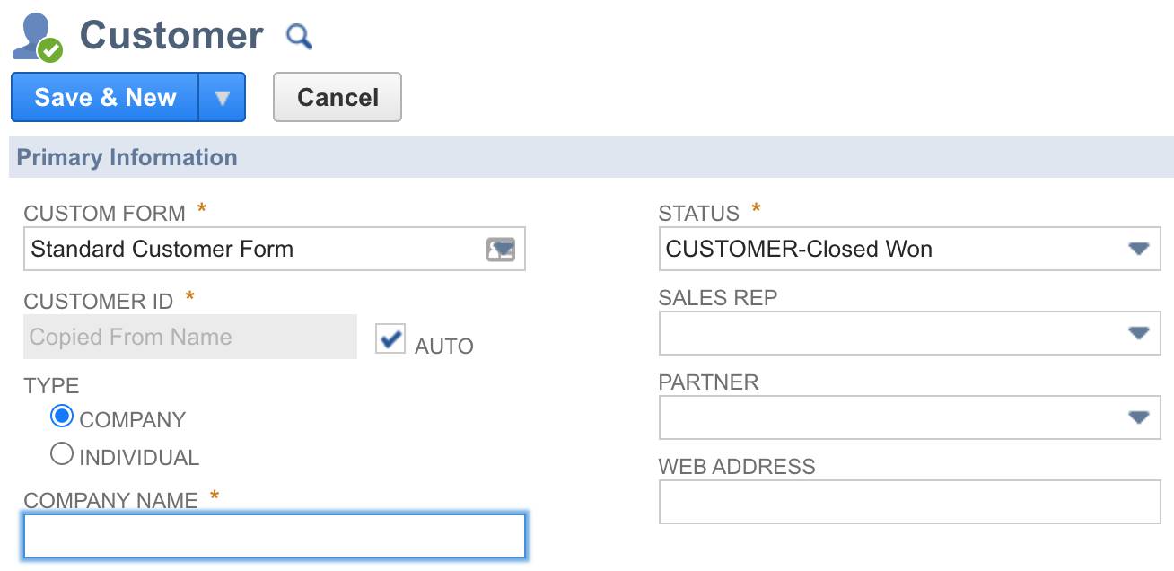 NetSuite Customer form with the Custom Form field showing Standard Customer Form.