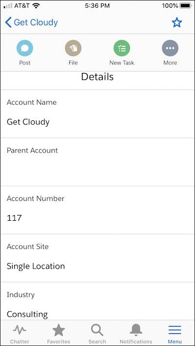 Get Cloudy’s account record on a mobile device screen. 