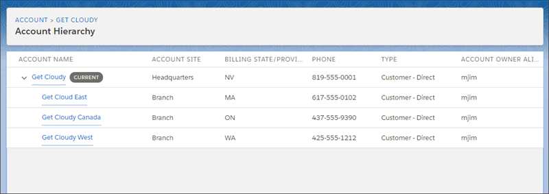 The account hierarchy for Get Cloudy Consulting.