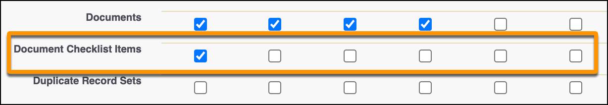 The Standard Object Permissions for Document Checklist Items.