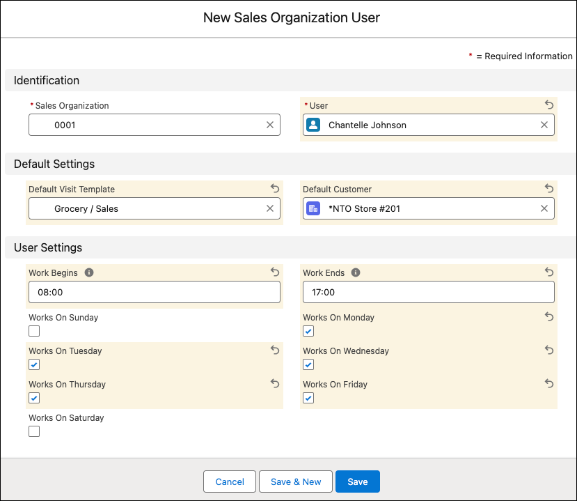 The New Sales Organization User window showing the options to map a sales organization to a user.