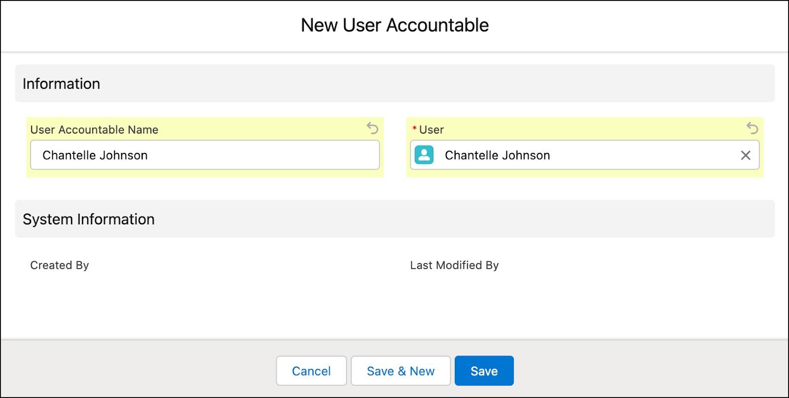 The New User Accountable window showing the options to create a user accountable record.
