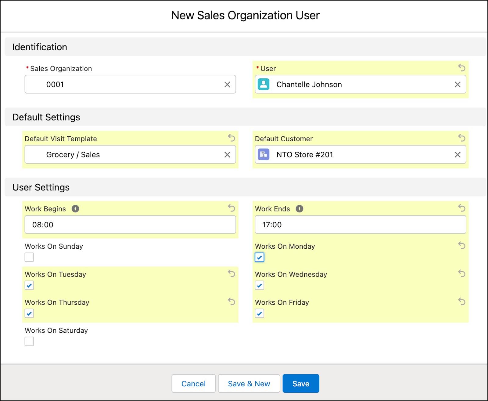 The New Sales Organization User window showing the options to map a sales organization to a user.