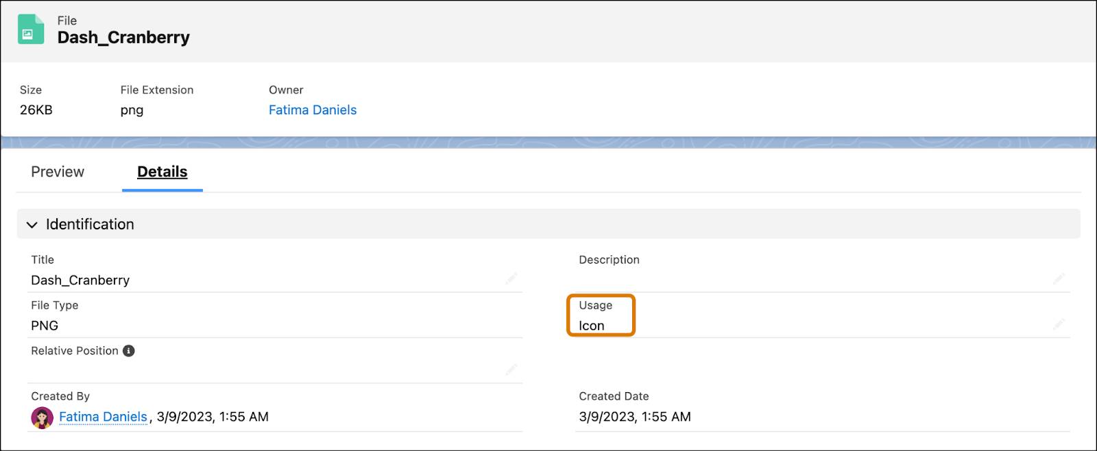 The File details for the product Dash Cranberry showing the usage type set to Icon.