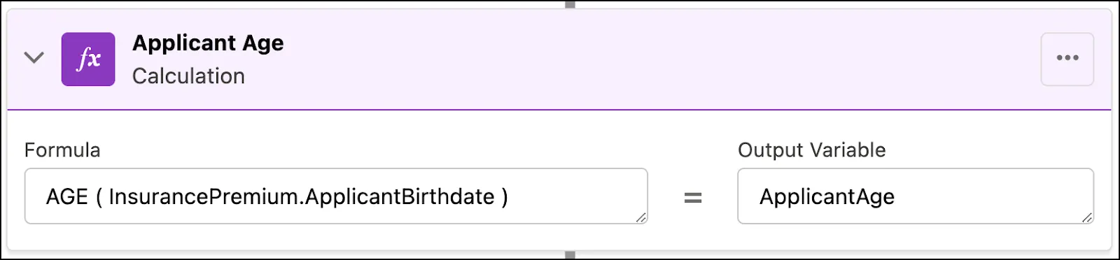 The Applicant Age calculation element.