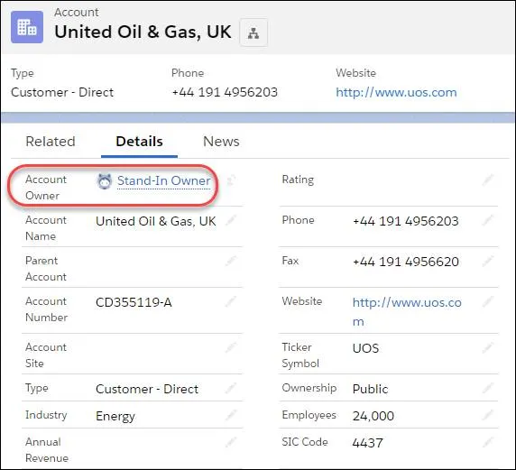 Account record showing a stand-in owner.