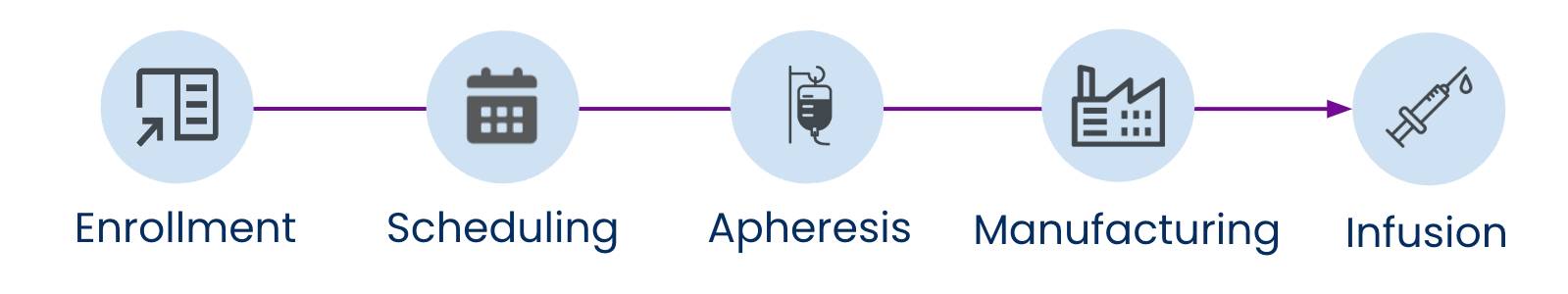 The advanced therapy steps including enrollment, scheduling, apheresis, manufacturing, and infusion.