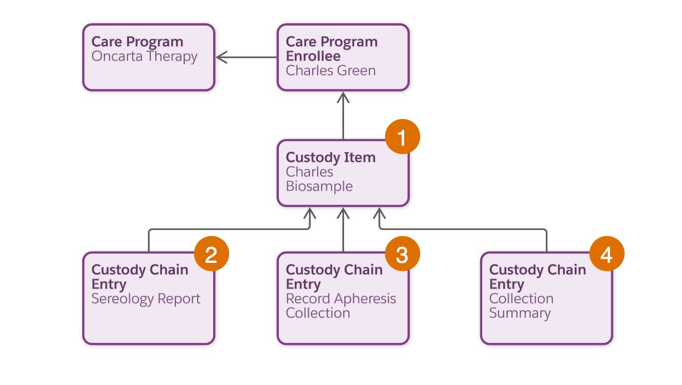 The relationship between chain of custody objects and care program objects.
